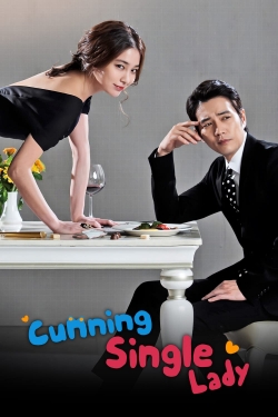 Cunning Single Lady (2014) Official Image | AndyDay