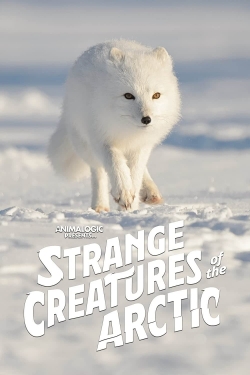 Strange Creatures of the Arctic (2022) Official Image | AndyDay