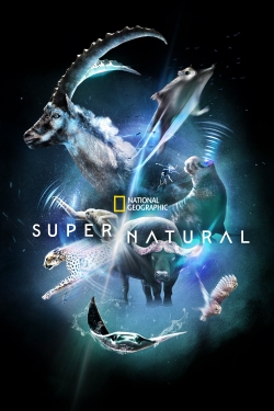 Super/Natural (2022) Official Image | AndyDay
