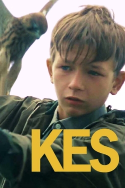 Kes (1970) Official Image | AndyDay