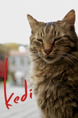 Kedi (2017) Official Image | AndyDay