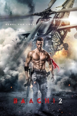 Baaghi 2 (2018) Official Image | AndyDay