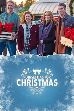Poinsettias for Christmas (2018) Official Image | AndyDay