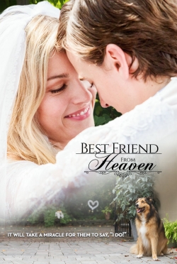 Best Friend from Heaven (2017) Official Image | AndyDay
