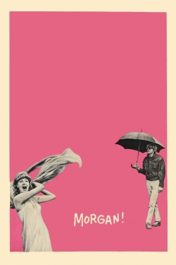 Morgan: A Suitable Case for Treatment (1966) Official Image | AndyDay
