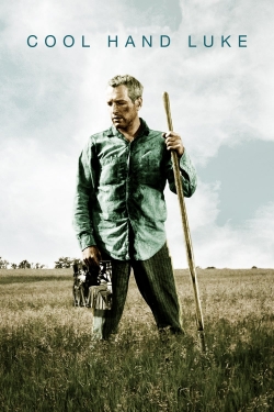 Cool Hand Luke (1967) Official Image | AndyDay