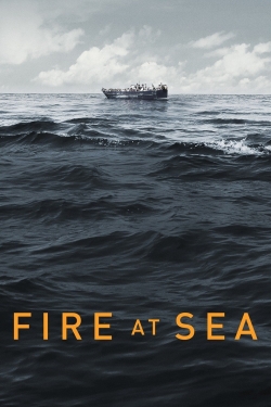 Fire at Sea (2016) Official Image | AndyDay