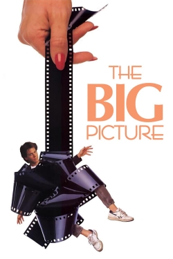 The Big Picture (1989) Official Image | AndyDay