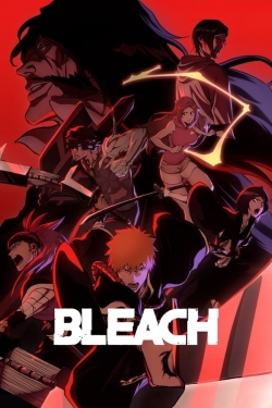 Bleach (2004) Official Image | AndyDay