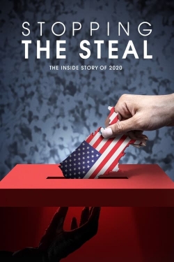 Stopping the Steal (2024) Official Image | AndyDay