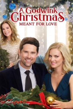 A Godwink Christmas: Meant For Love (2019) Official Image | AndyDay