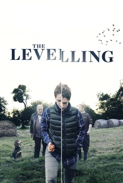 The Levelling (2017) Official Image | AndyDay