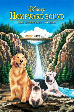 Homeward Bound: The Incredible Journey (1993) Official Image | AndyDay
