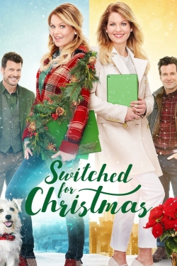 Switched for Christmas (2017) Official Image | AndyDay