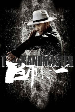 The Grandmaster (2013) Official Image | AndyDay