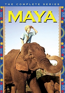 Maya (1967) Official Image | AndyDay