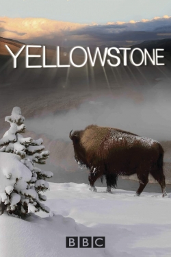 Yellowstone (2009) Official Image | AndyDay