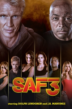 SAF3 (2013) Official Image | AndyDay