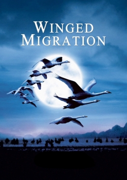 Winged Migration (2001) Official Image | AndyDay