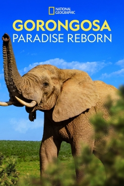 Gorongosa: Paradise Reborn (2022) Official Image | AndyDay