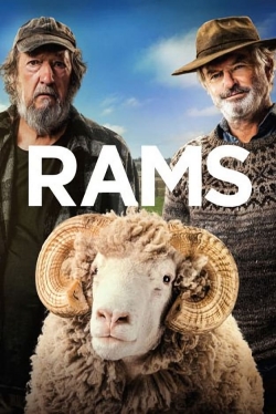Rams (2020) Official Image | AndyDay