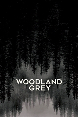 Woodland Grey (2021) Official Image | AndyDay