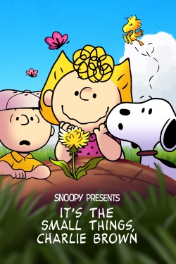 Snoopy Presents: It’s the Small Things, Charlie Brown (2022) Official Image | AndyDay