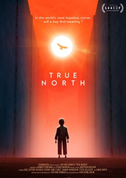 True North (2020) Official Image | AndyDay