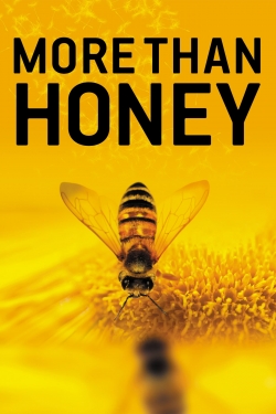 More Than Honey (2012) Official Image | AndyDay