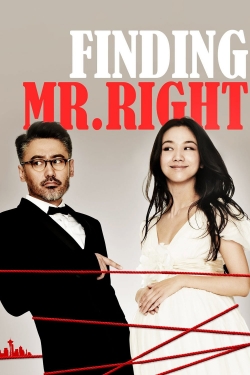 Finding Mr. Right (2013) Official Image | AndyDay