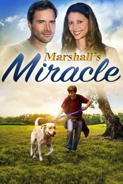 Marshall's Miracle (2015) Official Image | AndyDay