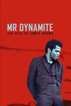 Mr. Dynamite - The Rise of James Brown (2014) Official Image | AndyDay