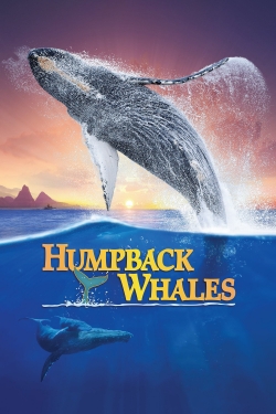 Humpback Whales (2015) Official Image | AndyDay