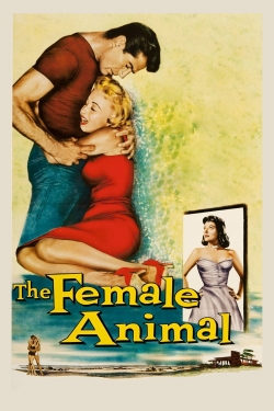The Female Animal (1958) Official Image | AndyDay
