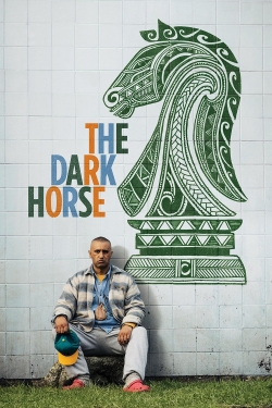 The Dark Horse (2014) Official Image | AndyDay