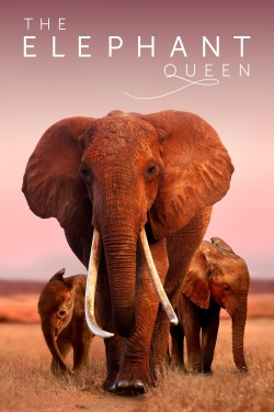 The Elephant Queen (2019) Official Image | AndyDay