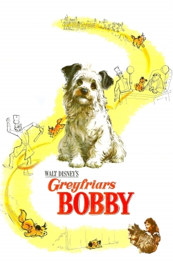 Greyfriars Bobby: The True Story of a Dog (1961) Official Image | AndyDay