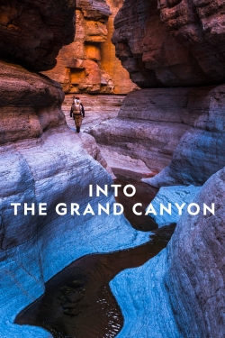 Into the Grand Canyon (2019) Official Image | AndyDay