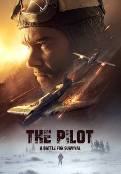 The Pilot. A Battle for Survival (2021) Official Image | AndyDay