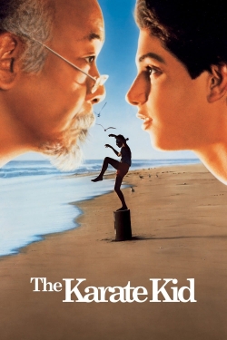 The Karate Kid (1984) Official Image | AndyDay