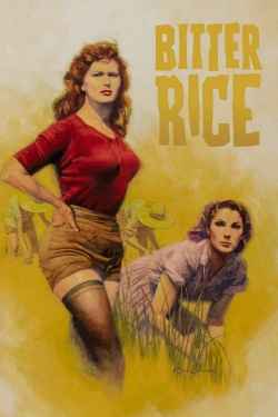 Bitter Rice (1949) Official Image | AndyDay