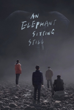 An Elephant Sitting Still (2018) Official Image | AndyDay