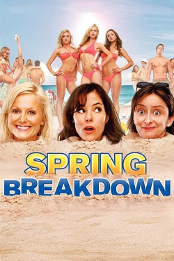 Spring Breakdown (2009) Official Image | AndyDay