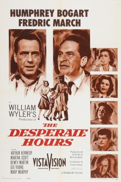 The Desperate Hours (1955) Official Image | AndyDay