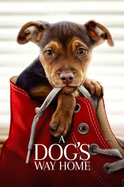 A Dog's Way Home (2019) Official Image | AndyDay