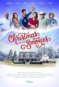 Christmas in the Smokies (2015) Official Image | AndyDay