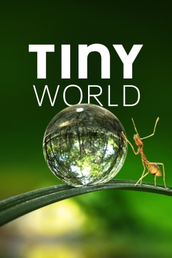 Tiny World (2020) Official Image | AndyDay
