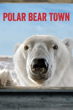 Polar Bear Town (2015) Official Image | AndyDay