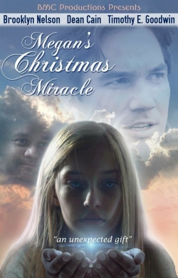 Megan's Christmas Miracle (2018) Official Image | AndyDay