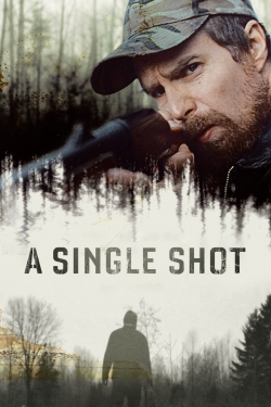 A Single Shot (2013) Official Image | AndyDay